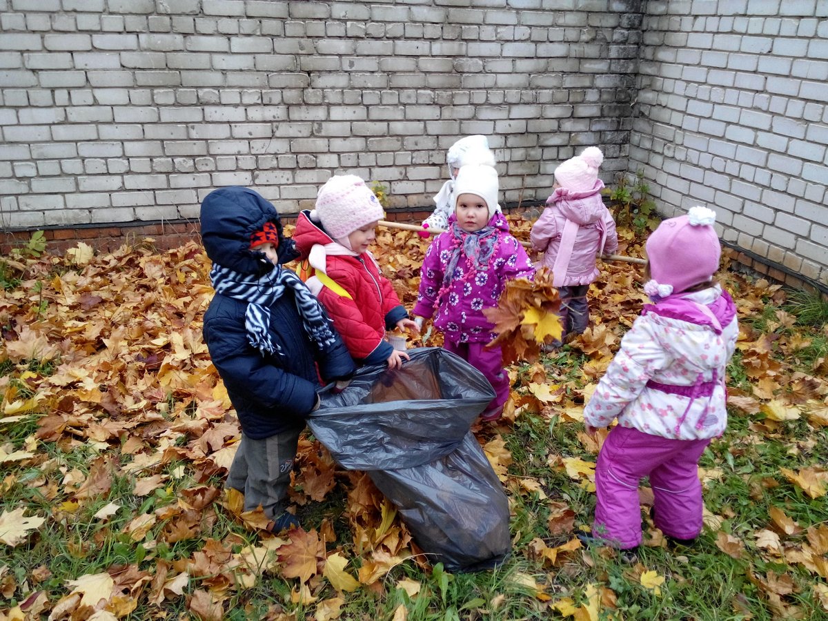 Проект труд в природе в доу